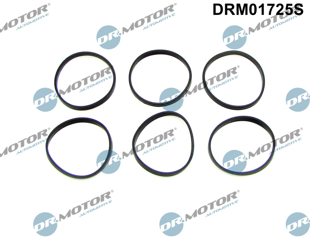 Kit guarnizioni, Collettore aspirazione - DRM01725S Dr.Motor Automotive