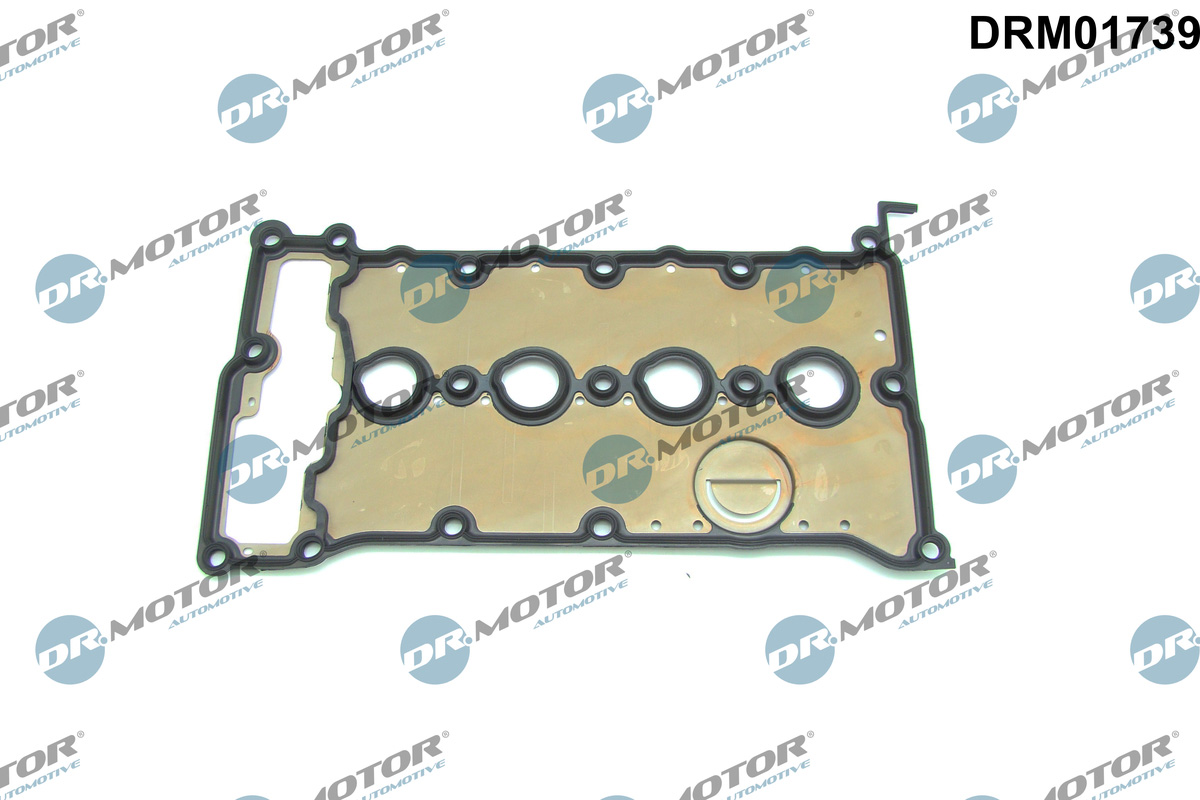 Guarnizione, Copritestata - DRM01739 Dr.Motor Automotive