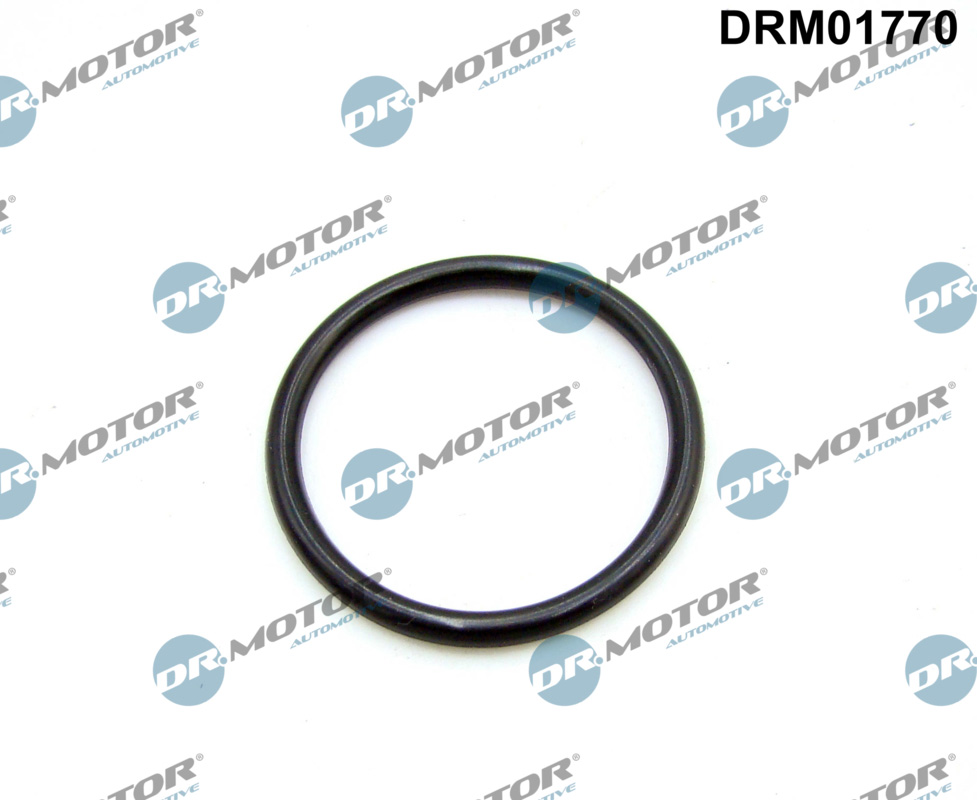 Guarnizione, Collettore aspirazione - DRM01770 Dr.Motor Automotive