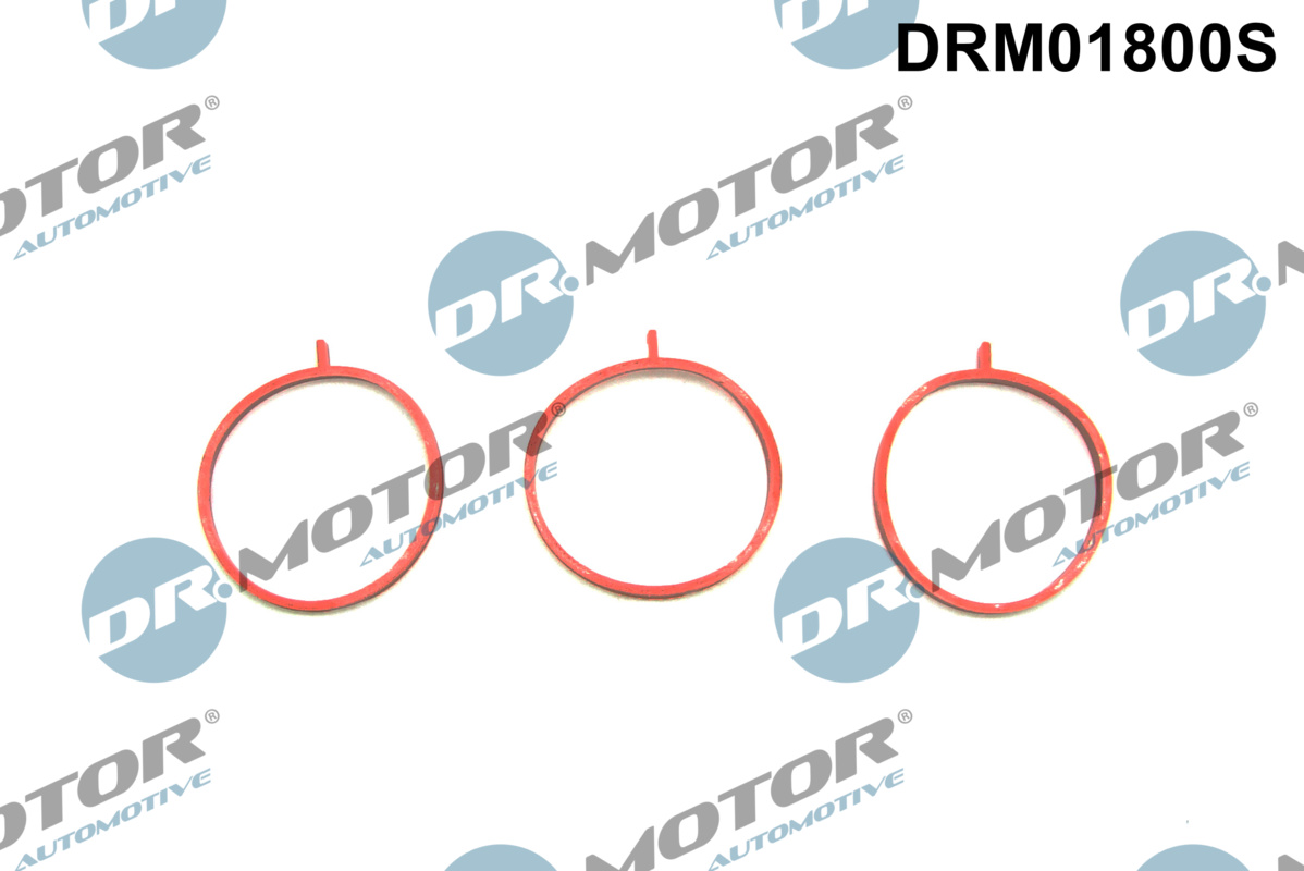 Gasket Set, intake manifold - DRM01800S Dr.Motor Automotive