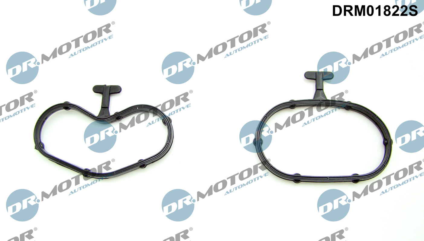 Gasket Set, oil cooler - DRM01822S Dr.Motor Automotive