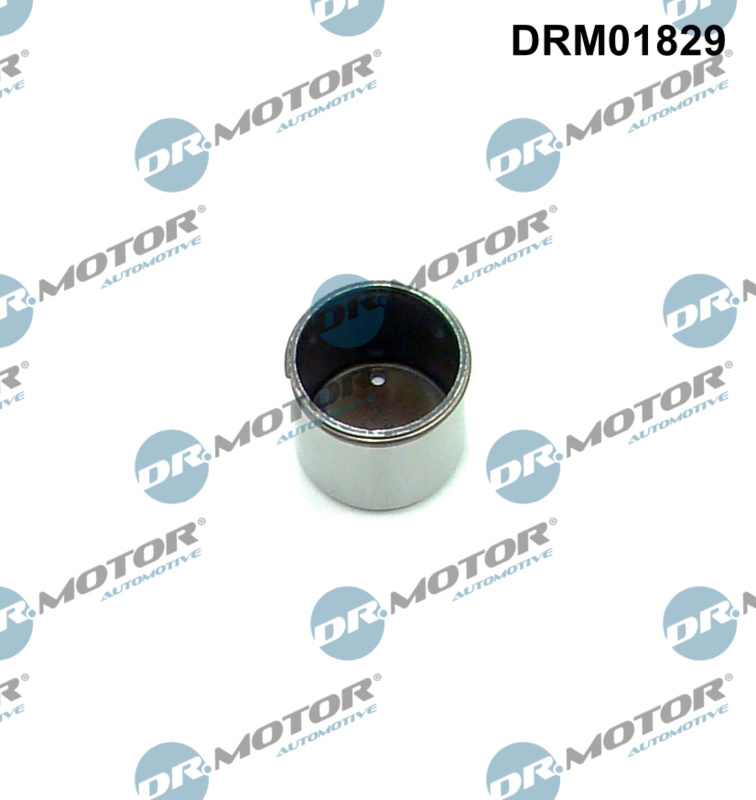 aukšto slėgio siurblio stūmoklis - DRM01829 Dr.Motor Automotive