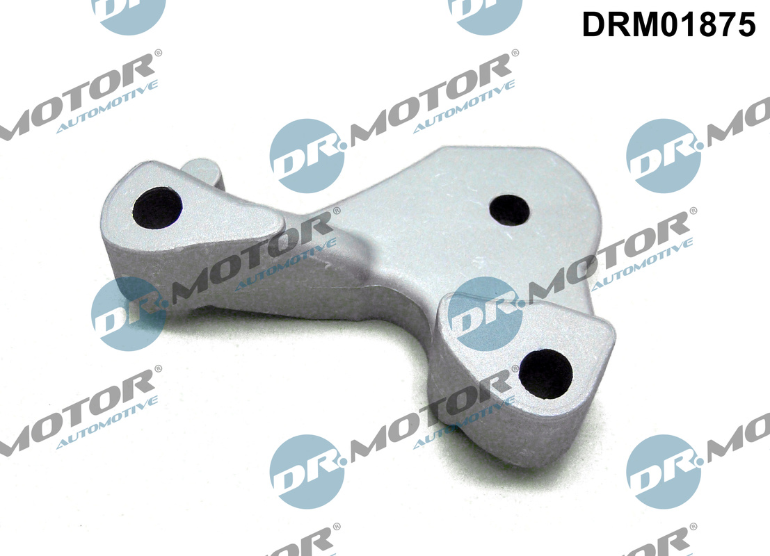 Engine Mounting - DRM01875 Dr.Motor Automotive