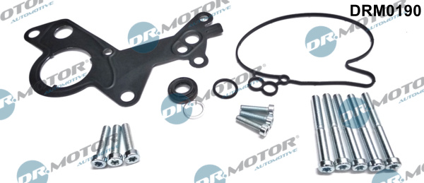 Repair Set, vacuum pump (braking system) - DRM0190 Dr.Motor Automotive