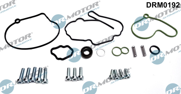 Repair Set, vacuum pump (braking system) - DRM0192 Dr.Motor Automotive