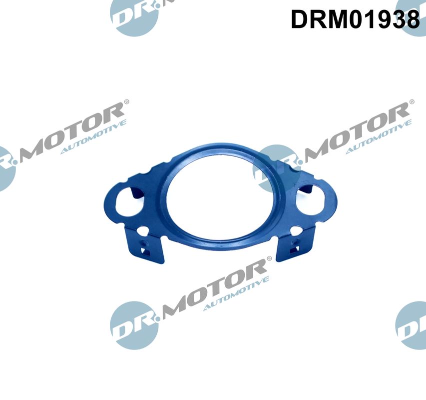 Gasket, EGR valve pipe - DRM01938 Dr.Motor Automotive