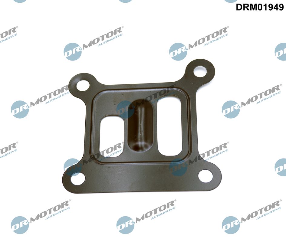 Gasket, water pump - DRM01949 Dr.Motor Automotive