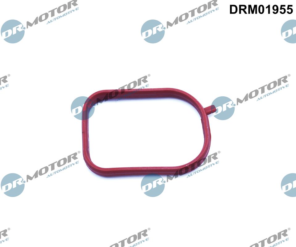 Guarnizione, Alloggiam. termostato - DRM01955 Dr.Motor Automotive