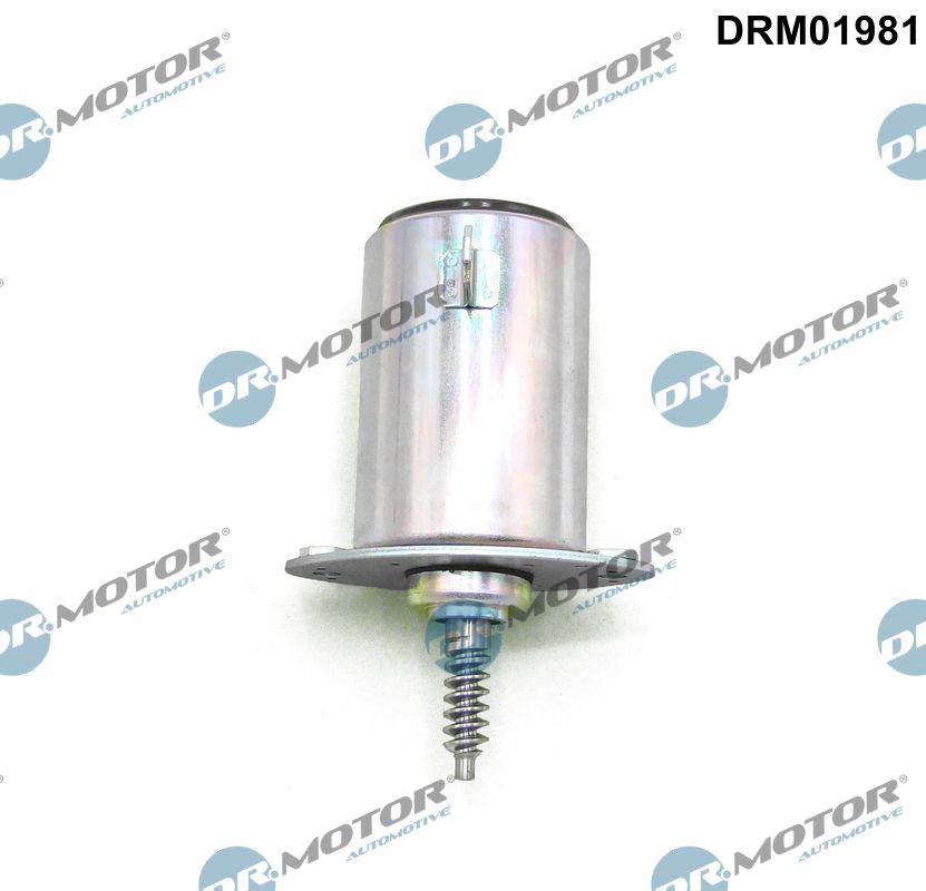 Control Valve, camshaft adjustment - DRM01981 Dr.Motor Automotive