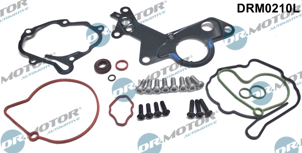Repair Set, vacuum pump (braking system) - DRM0210L Dr.Motor Automotive