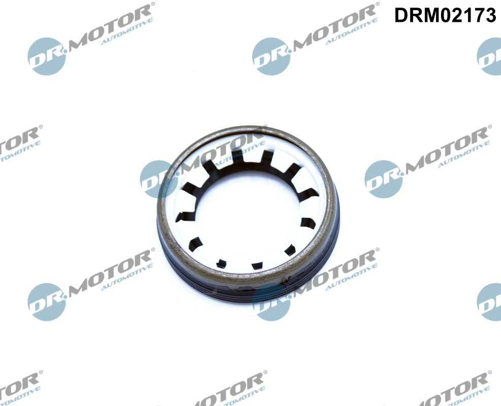 Shaft Seal, differential - DRM02173 Dr.Motor Automotive