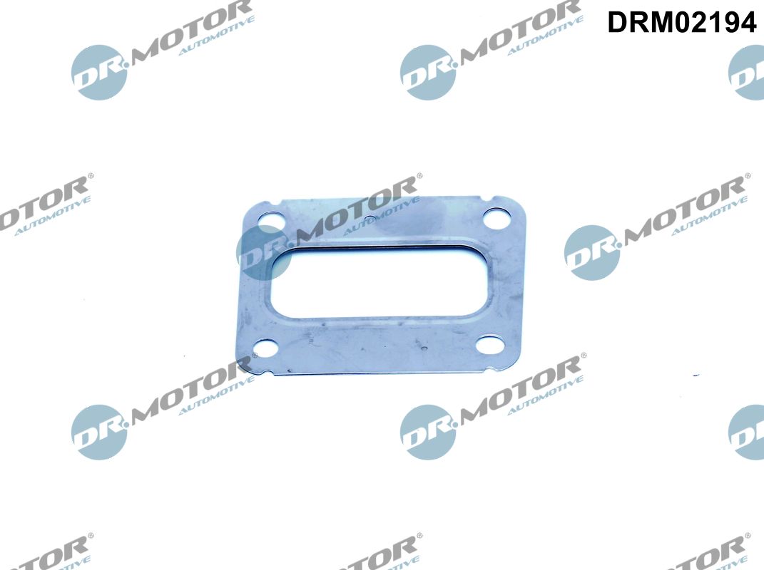 Guarnizione, Collettore gas scarico - DRM02194 Dr.Motor Automotive
