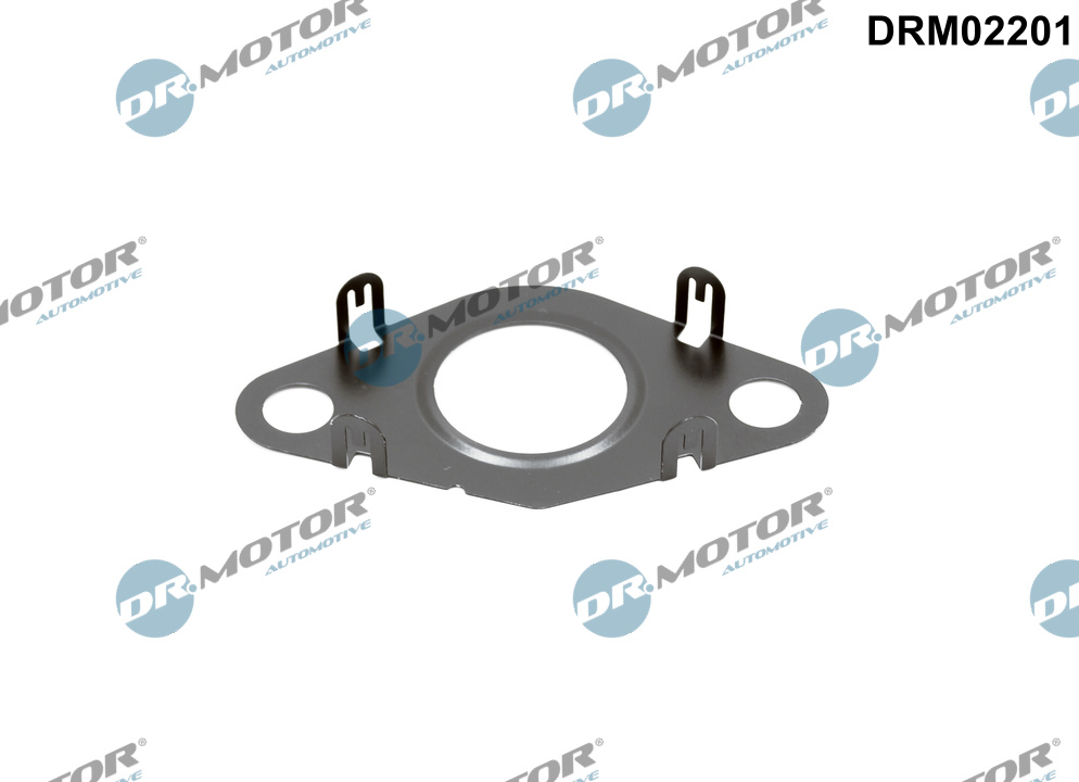 Gasket, EGR valve pipe - DRM02201 Dr.Motor Automotive