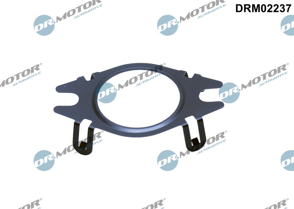 Gasket, EGR valve pipe - DRM02237 Dr.Motor Automotive