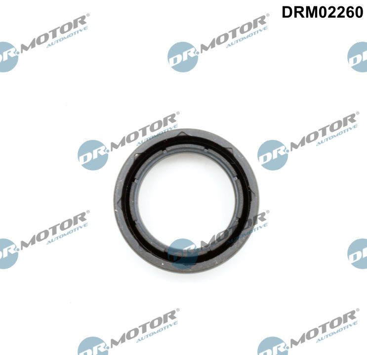 Anello tenuta, Cavità candela - DRM02260 Dr.Motor Automotive