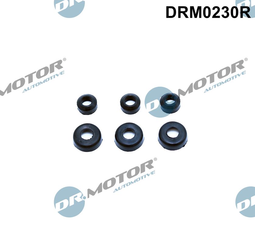 Guarnizione, Bulloni copritestata - DRM0230R Dr.Motor Automotive