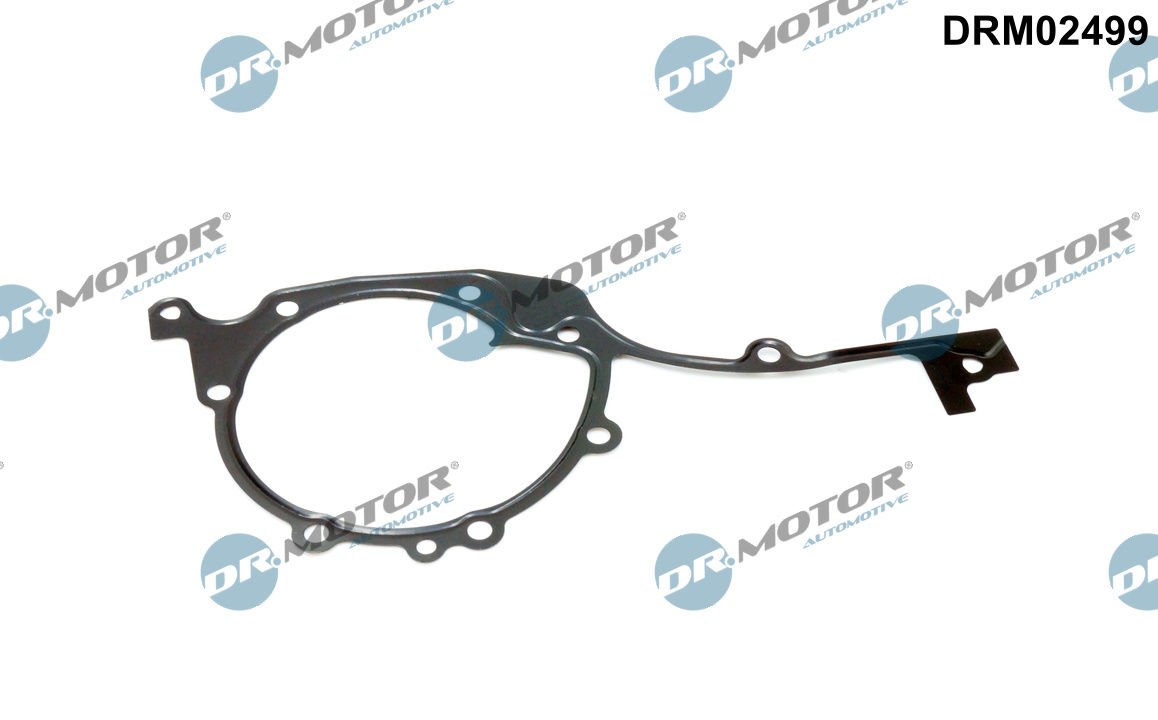 Gasket, timing case - DRM02499 Dr.Motor Automotive