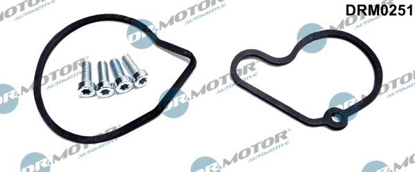 Repair Set, vacuum pump (braking system) - DRM0251 Dr.Motor Automotive