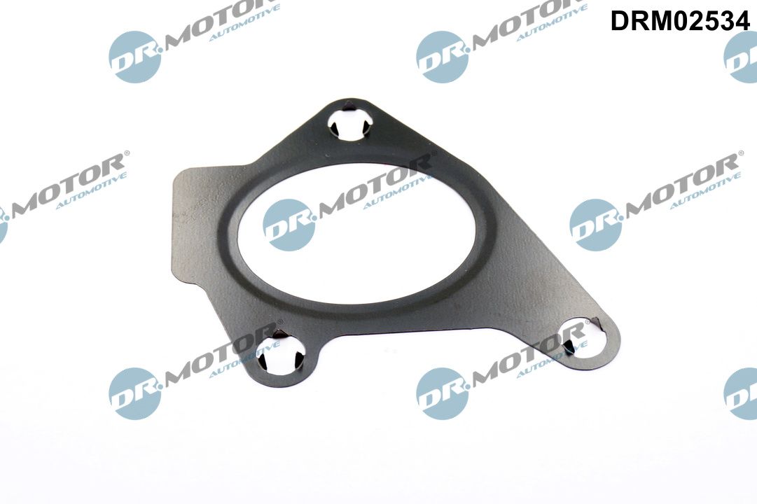 Gasket, intake manifold - DRM02534 Dr.Motor Automotive