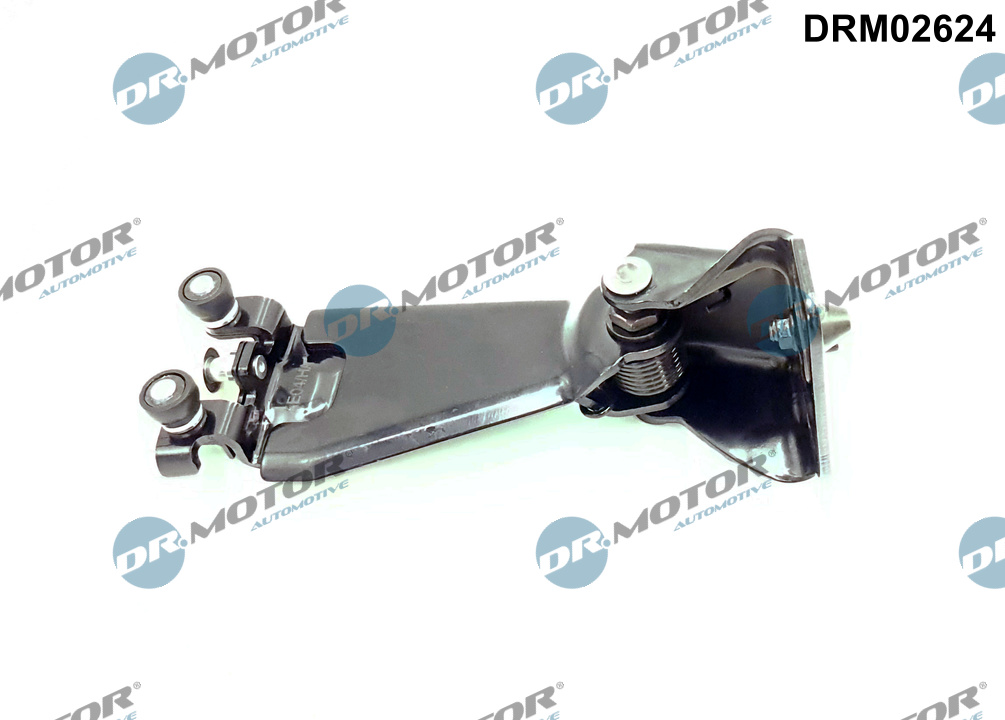 Roller Guide, sliding door - DRM02624 Dr.Motor Automotive