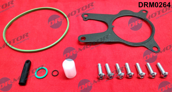 Repair Set, vacuum pump (braking system) - DRM0264 Dr.Motor Automotive