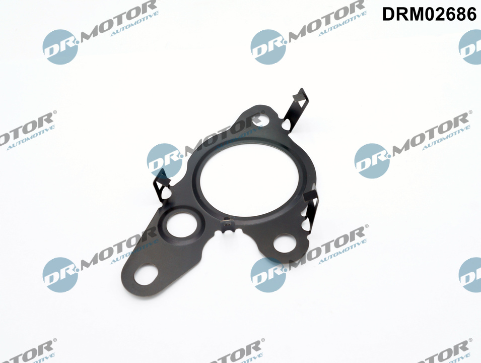Seal, EGR valve - DRM02686 Dr.Motor Automotive