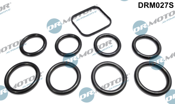 Kit guarnizioni, Collettore aspirazione - DRM027S Dr.Motor Automotive
