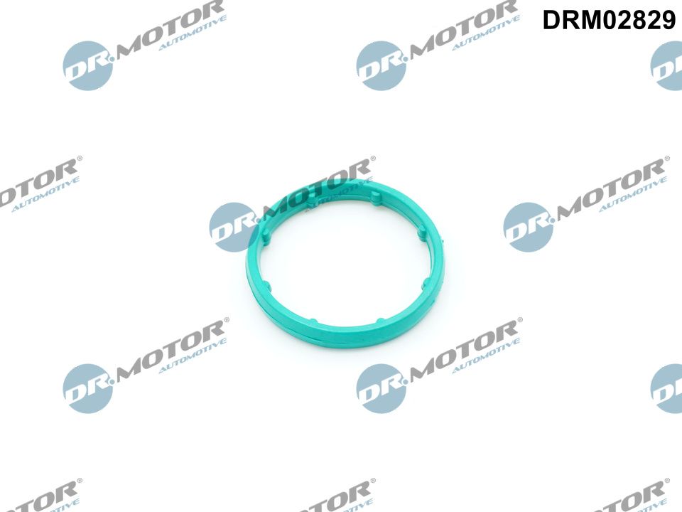 Seal, oil cooler - DRM02829 Dr.Motor Automotive