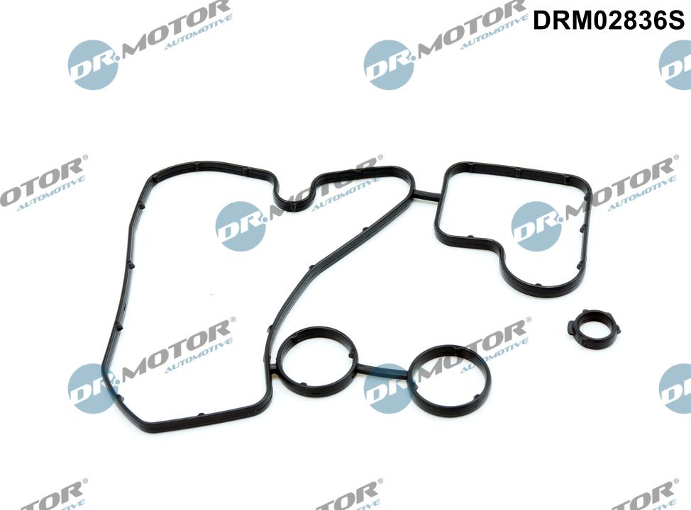 Seal, oil cooler - DRM02836S Dr.Motor Automotive