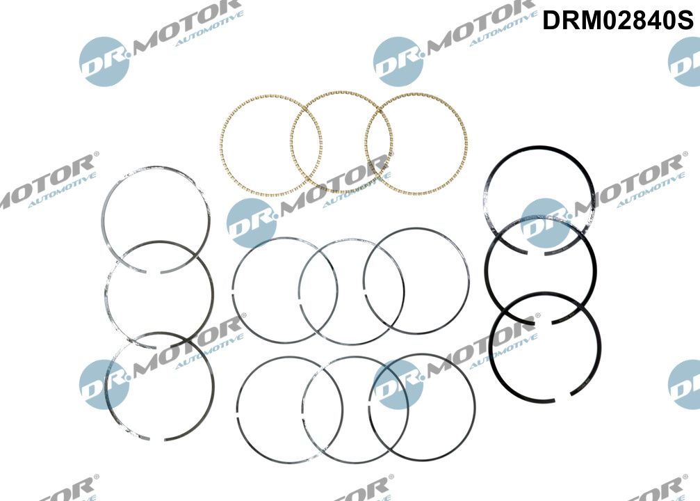 Piston Ring Kit - DRM02840S Dr.Motor Automotive