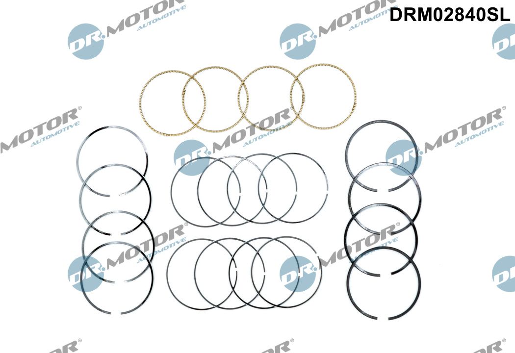 Piston Ring Kit - DRM02840SL Dr.Motor Automotive