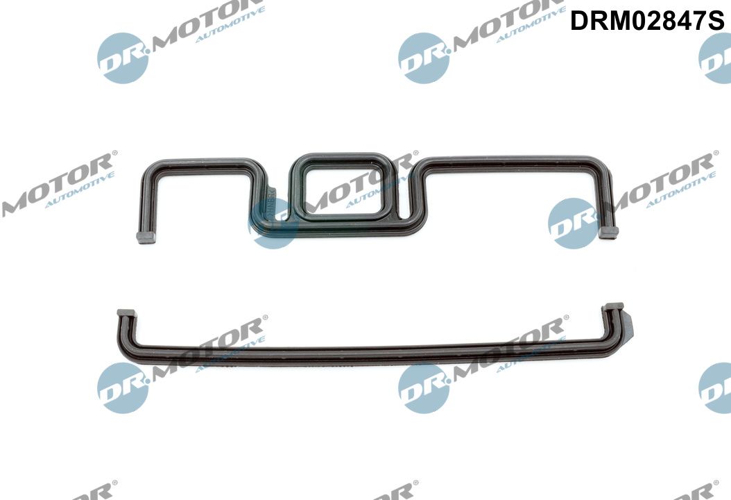 Gasket, timing case - DRM02847S Dr.Motor Automotive