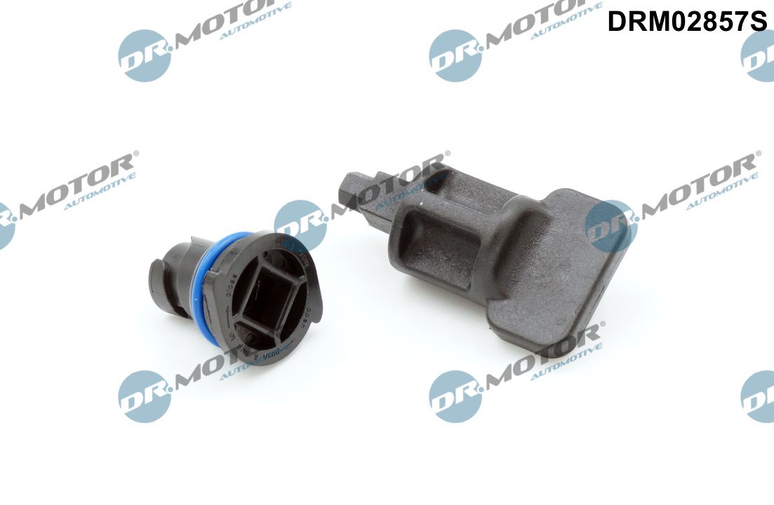 Sealing Plug, oil sump - DRM02857S Dr.Motor Automotive