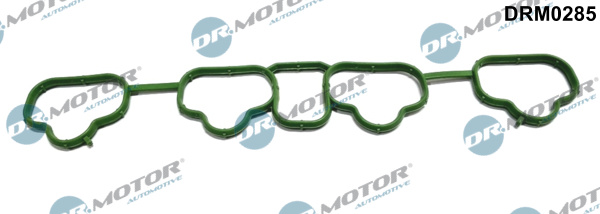 Gasket, intake manifold - DRM0285 Dr.Motor Automotive