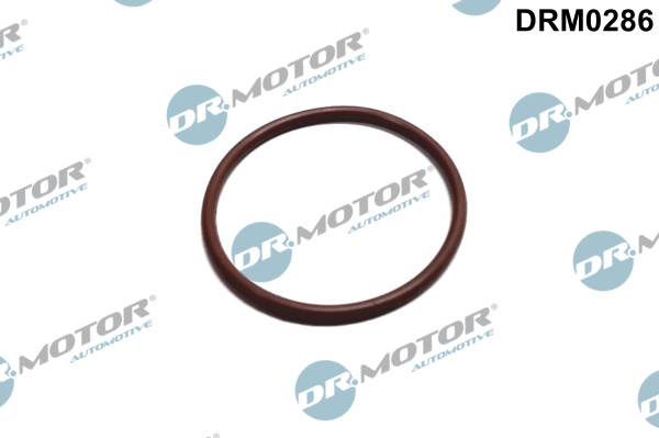 Guarnizione, Pompa carburante - DRM0286 Dr.Motor Automotive