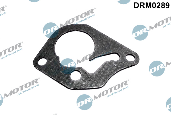 Gasket, vacuum pump - DRM0289 Dr.Motor Automotive