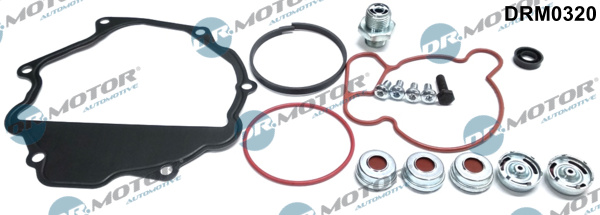 Repair Set, vacuum pump (braking system) - DRM0320 Dr.Motor Automotive