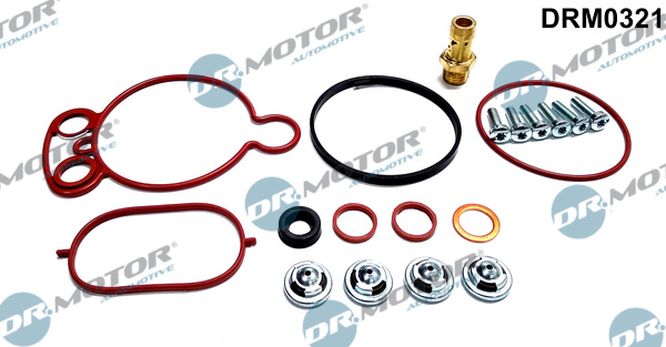 Repair Set, vacuum pump (braking system) - DRM0321 Dr.Motor Automotive