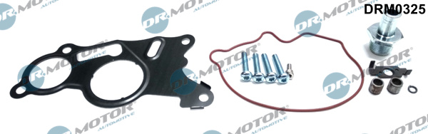Kit riparazione, Pompa a depressione (Sistema frenante) - DRM0325 Dr.Motor Automotive