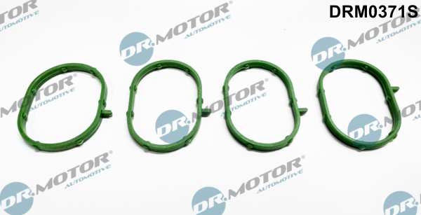 Kit guarnizioni, Collettore aspirazione - DRM0371S Dr.Motor Automotive