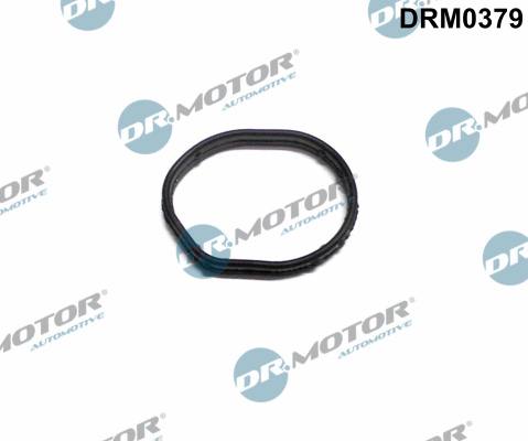 Gasket, timing case cover - DRM0379 Dr.Motor Automotive