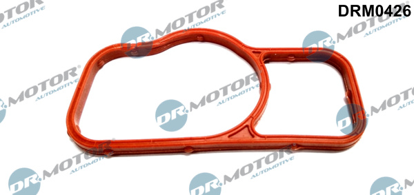 Guarnizione, Pompa acqua - DRM0426 Dr.Motor Automotive