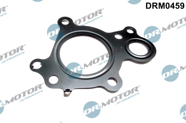Guarnizione valvola EGR (ricircolo gas scarico) - DRM0459 Dr.Motor Automotive