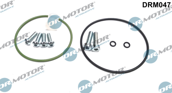 Repair Set, vacuum pump (braking system) - DRM047 Dr.Motor Automotive
