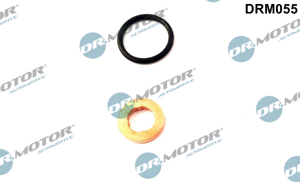 Seal Kit, injector nozzle - DRM055 Dr.Motor Automotive