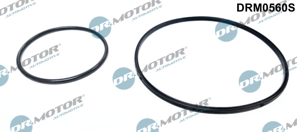 Seal Set, vacuum pump - DRM0560S Dr.Motor Automotive