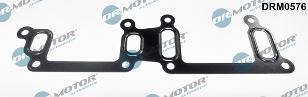Seal, coolant pipe - DRM0576 Dr.Motor Automotive