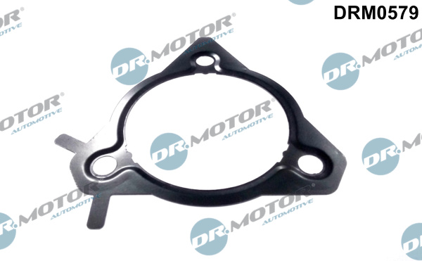Seal, injection pump - DRM0579 Dr.Motor Automotive