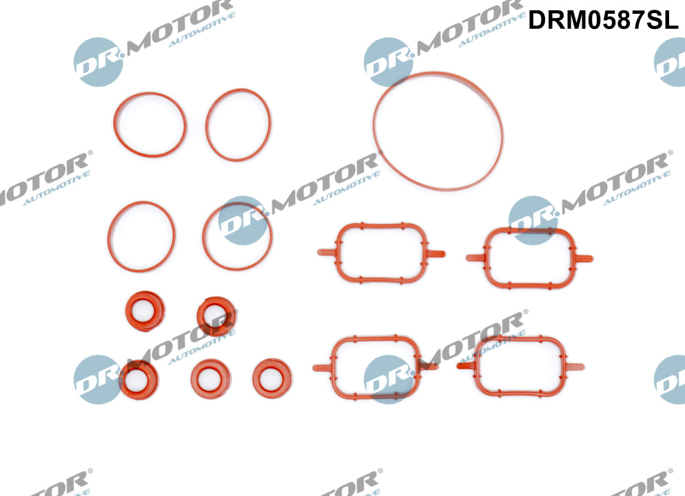 Gasket Set, intake manifold - DRM0587SL Dr.Motor Automotive