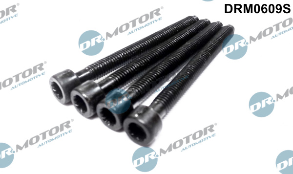 Adjustment Screw, injector pump - DRM0609S Dr.Motor Automotive
